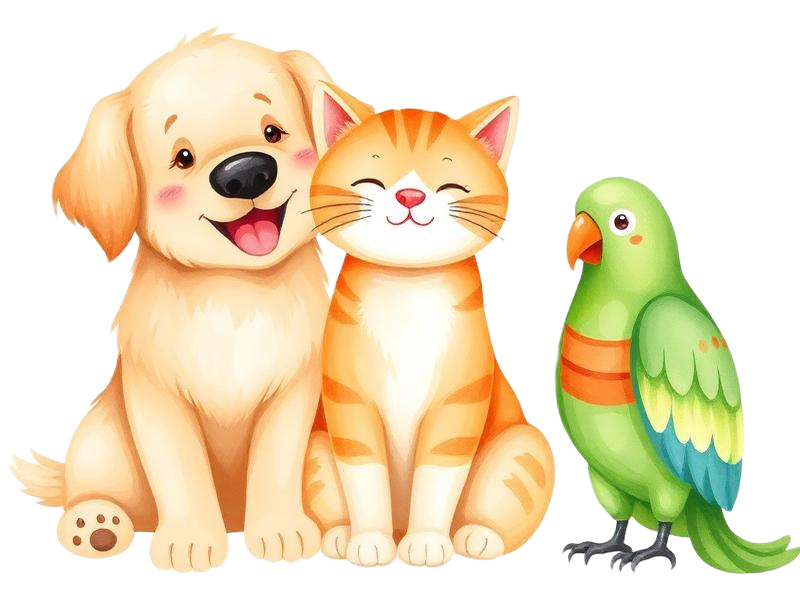 כלב, חתול ותוכי - חיות המחמד שלנו